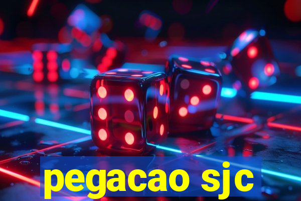 pegacao sjc